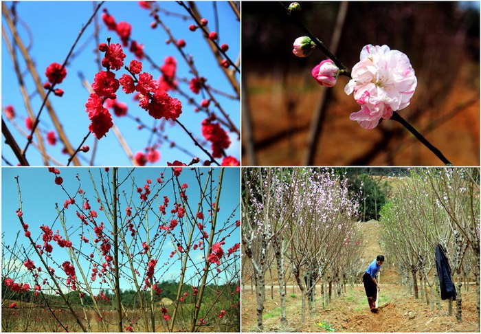 ���Ź��ʹ���-׷�󿵽�,����һ��չ