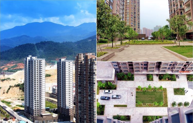 ���Ź��ʹ���-׷�󿵽�,����һ��չ